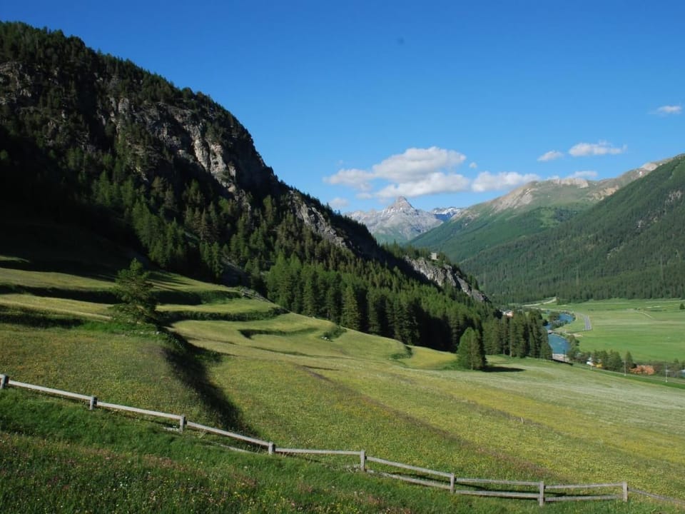 Chesa Arnica A1 Apartment in Canton of Grisons
