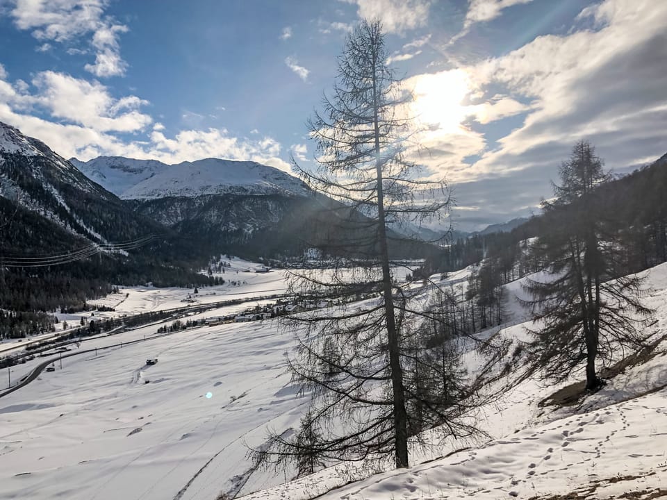 View