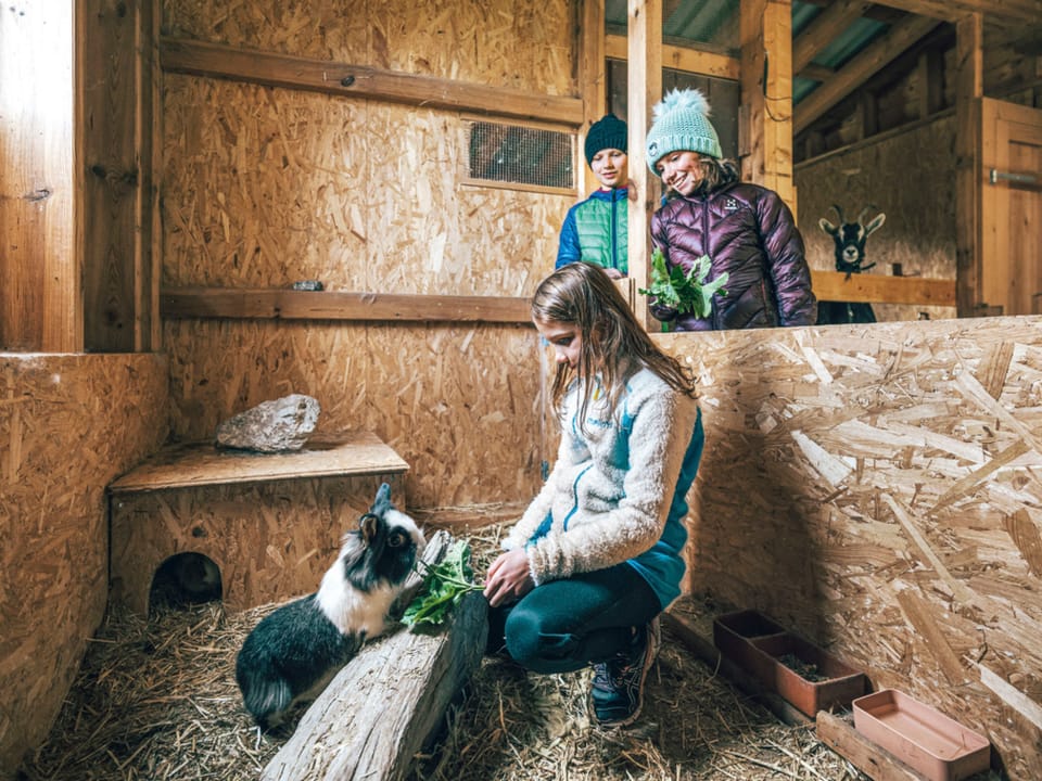 Agrotourismus Pütschai Josom, (Sta. Maria - Santa Maria Val Müstair). Apartment in Canton of Grisons