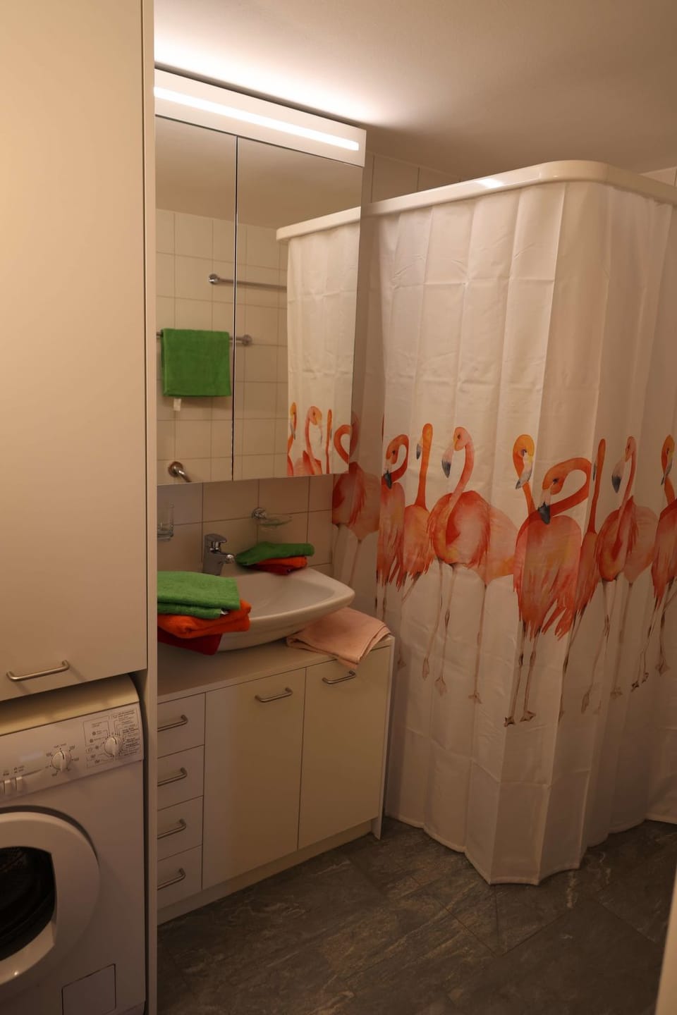 Bathroom / Wellness