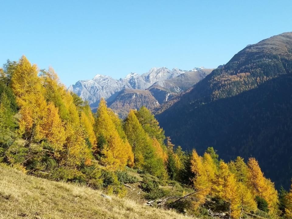 Wohnung mit atemberaubender Aussicht Apartment in Canton of Grisons