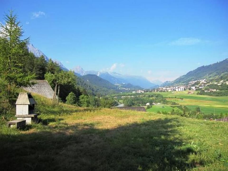 View