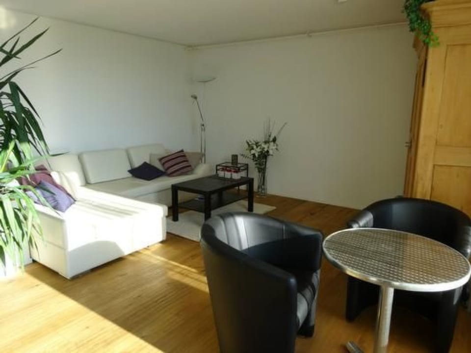 Moderne Ferienwohnung Apartment in Canton of Zurich