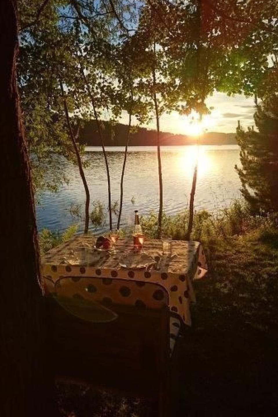 Haus am See Vacation rental in Lipno nad Vltavou