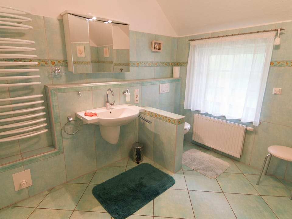 BUT 79 - Reetdach-Ferienhaus am Deich Vacation rental in Butjadingen