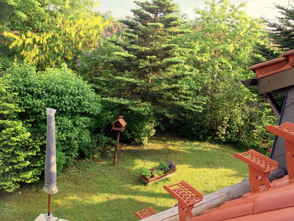 Sequoia Vacation rental in Goslar