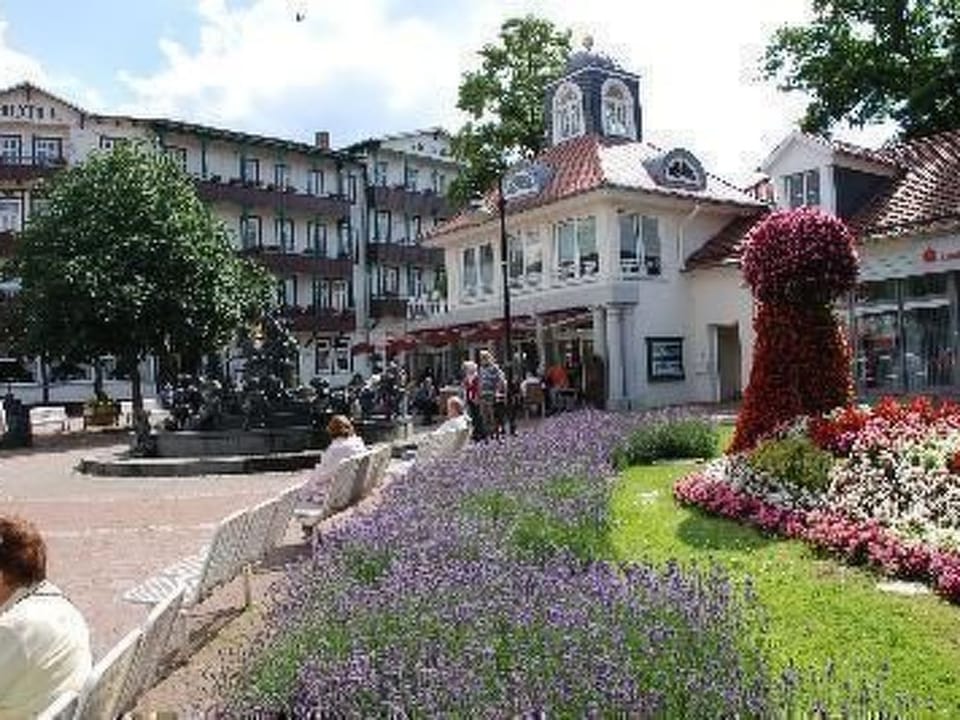 Fewo Burgbergblick Apartment in Goslar