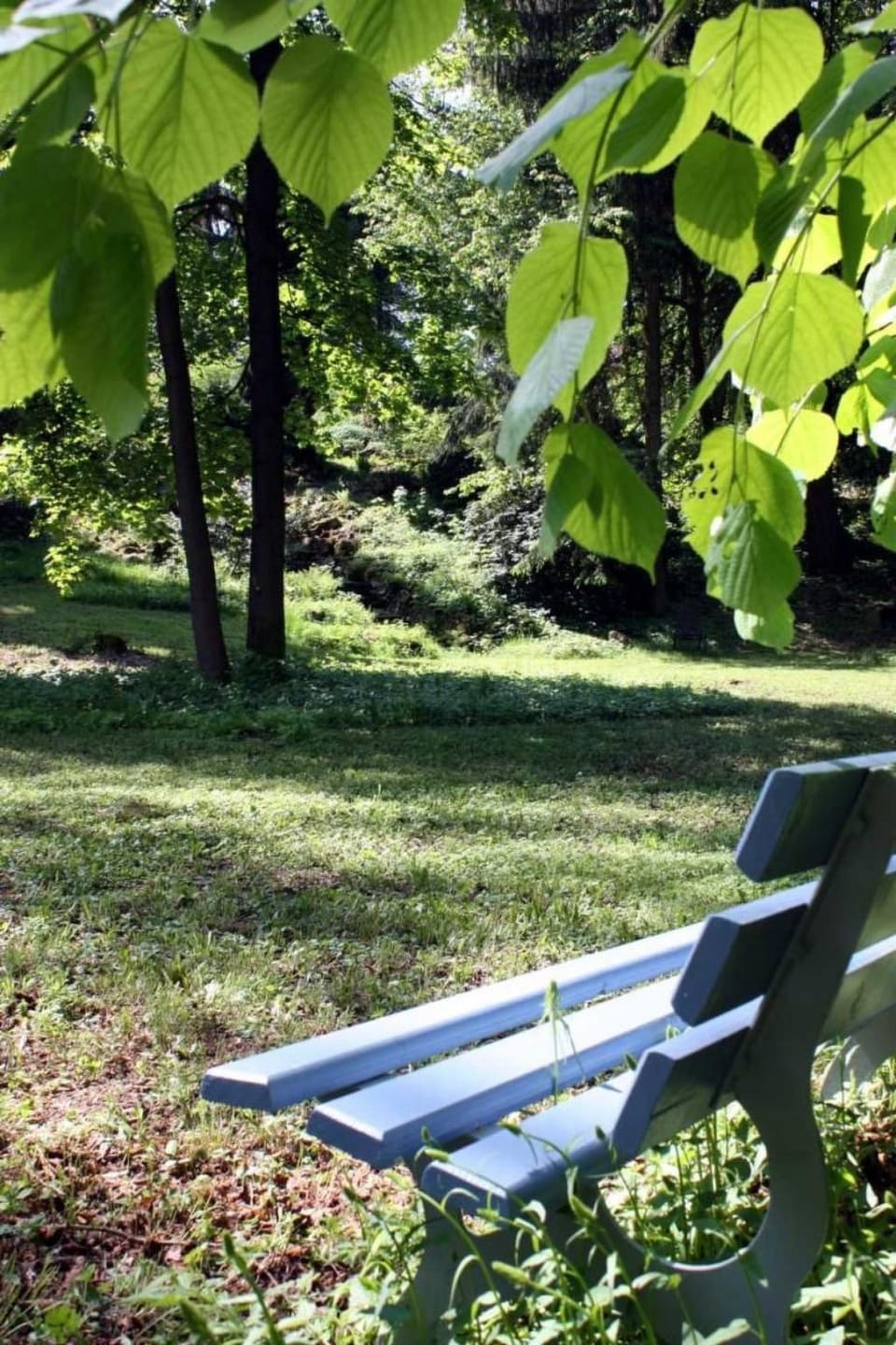 Wohlfühloase für Natur- und Gartenliebhaber Apartment in Thuringia, Germany