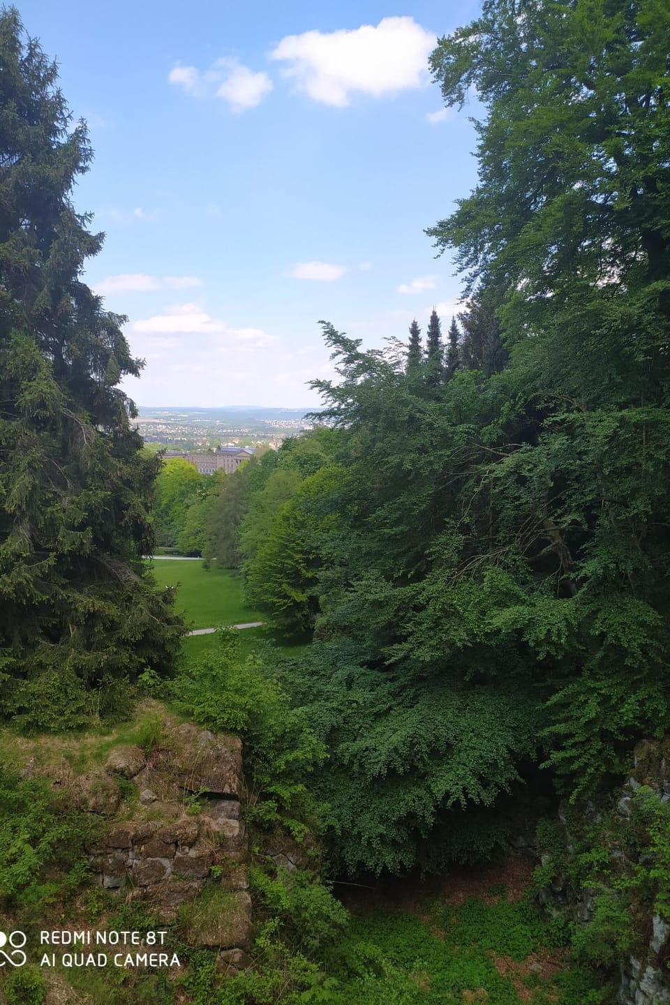 View