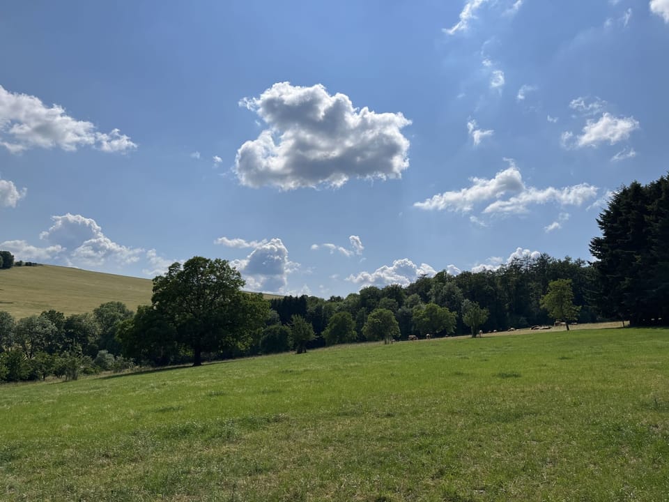 Place