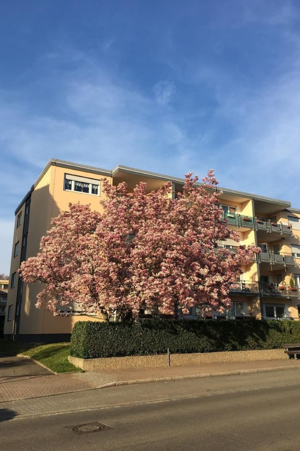 Stadtferienwohnung Apartment in Baden-Württemberg