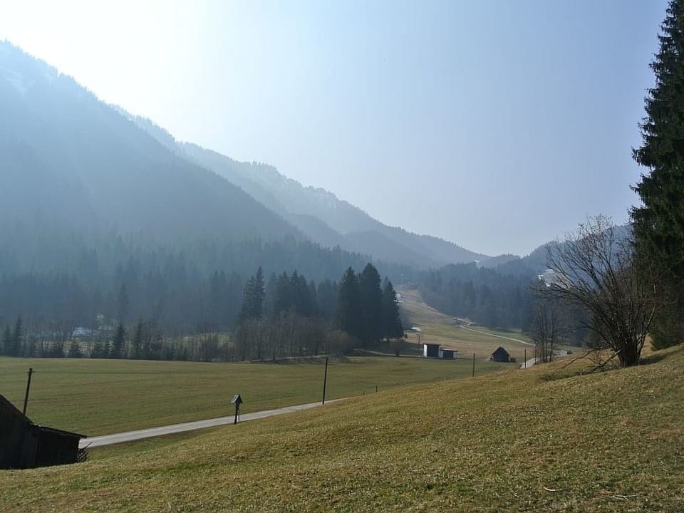 View