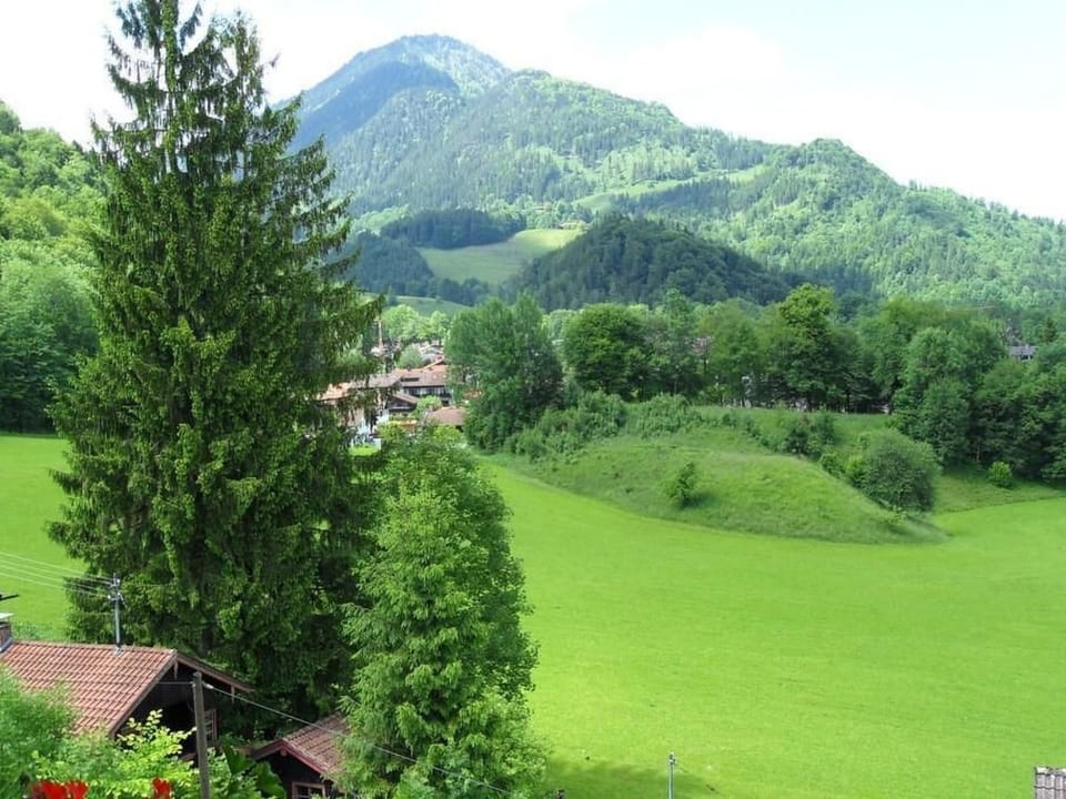"Kranzhorn-Blick" Apartment in Salzburgerland