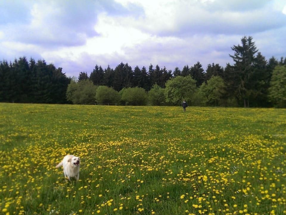 Mietz Vacation rental in Thuringia, Germany