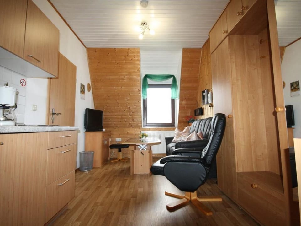 Fewo Katzengold Apartment in Erzgebirgskreis