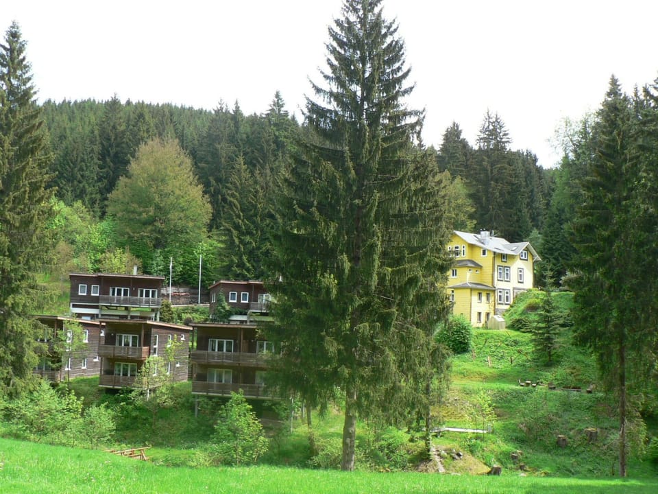 für 6 Personen im Thüringer Wald Vacation rental in Thuringia, Germany