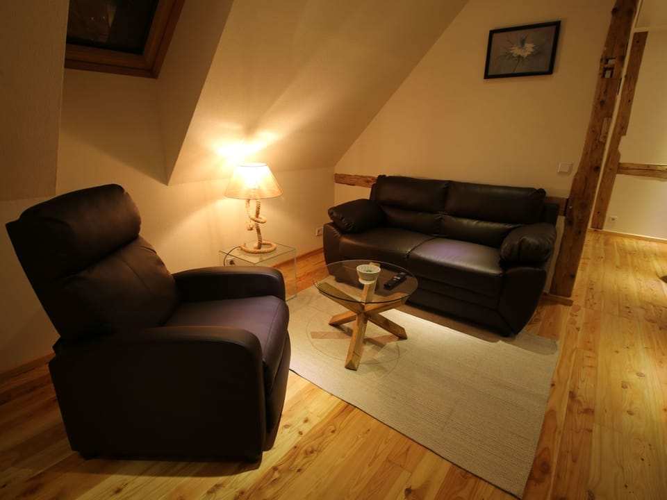 Studio-Appartement mit Bergblick Apartment in Saxony
