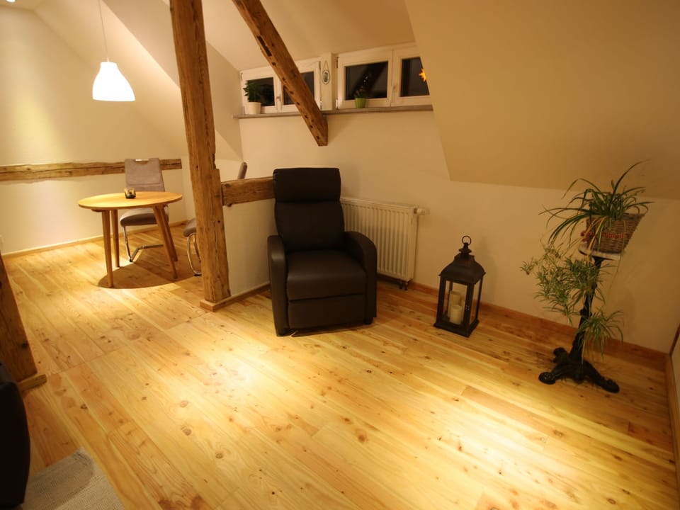 Studio-Appartement mit Bergblick Apartment in Saxony