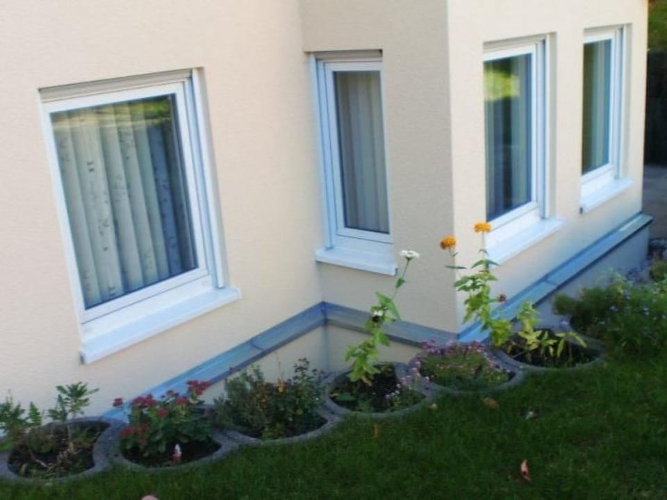 mit Terrasse in ruhiger Lage Apartment in Dresden