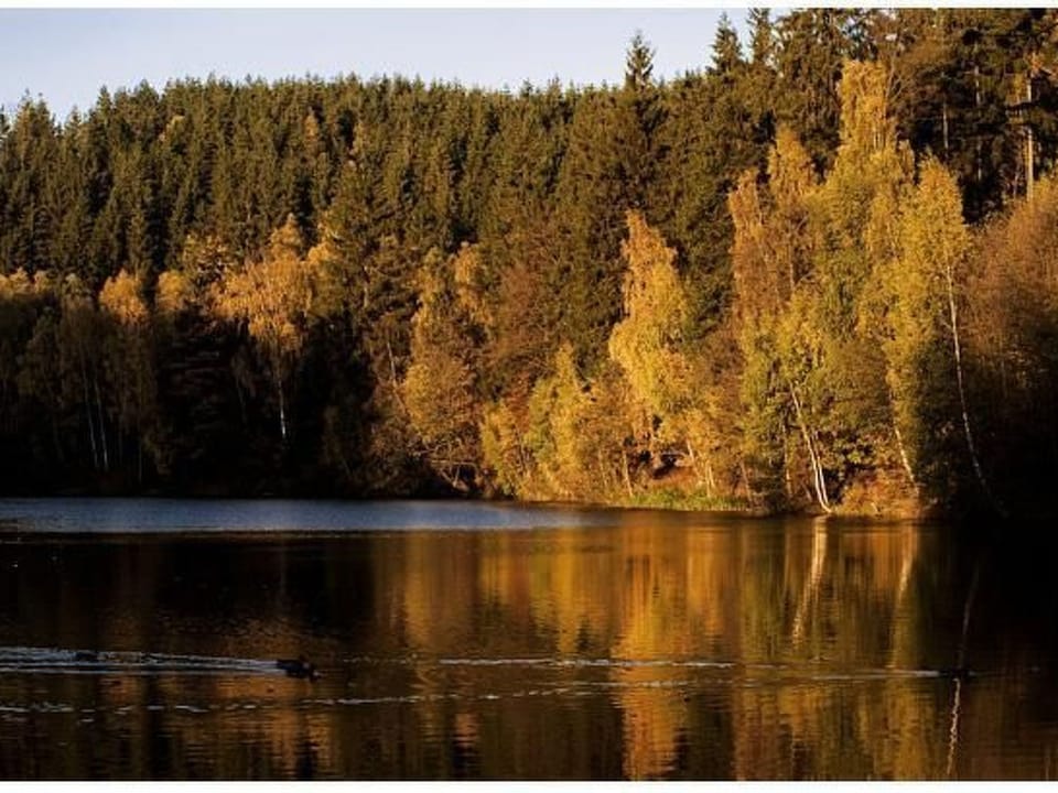 mit vielen Freizeitmöglichkeiten Vacation rental in Thuringia, Germany