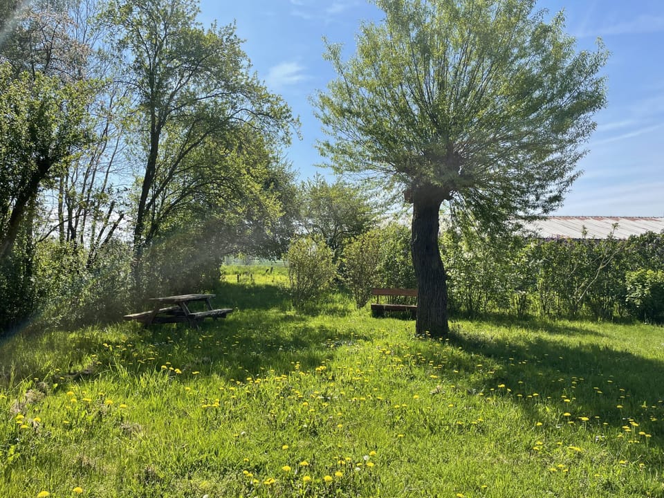 Outdoor