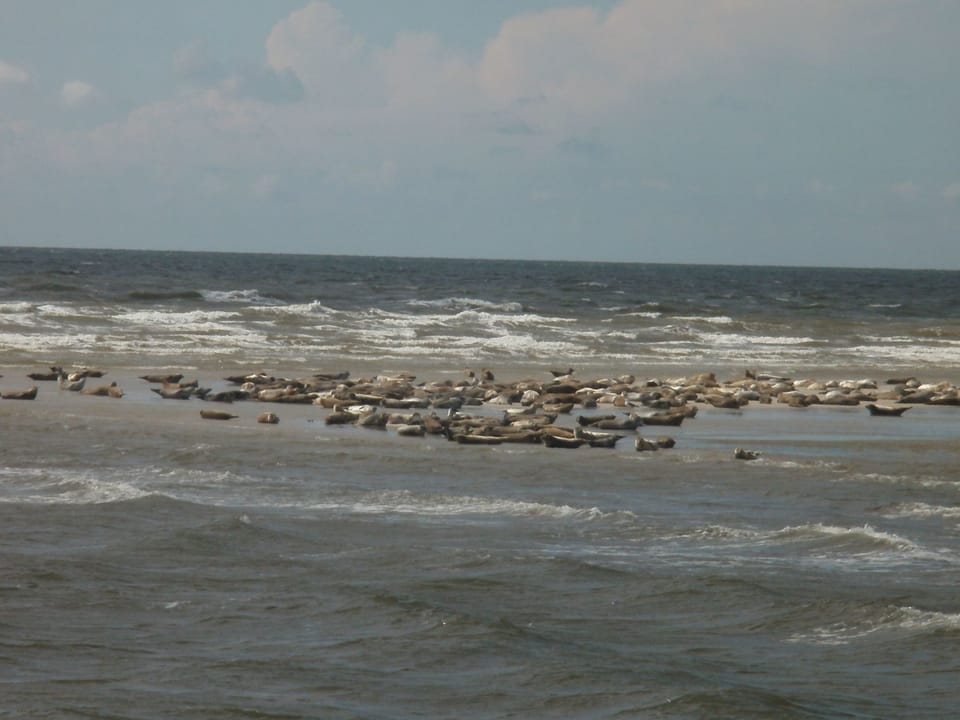 Nice Holidays Apartment in Nordfriesland