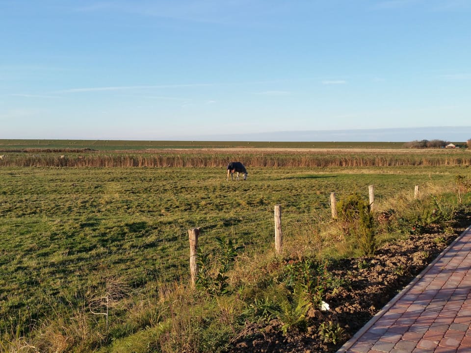 Nice Holidays Apartment in Nordfriesland