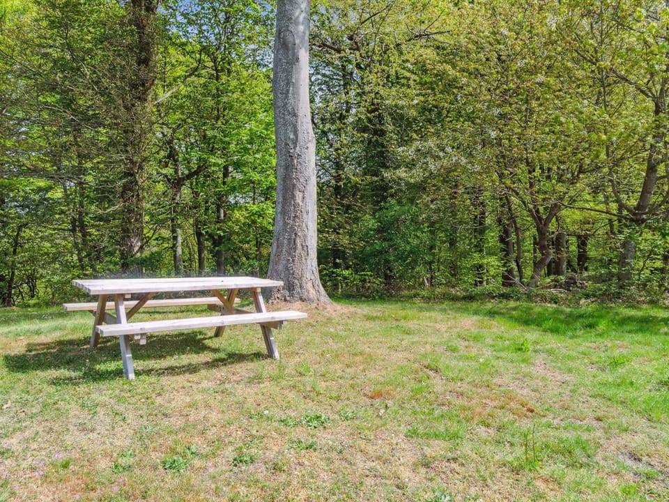Place