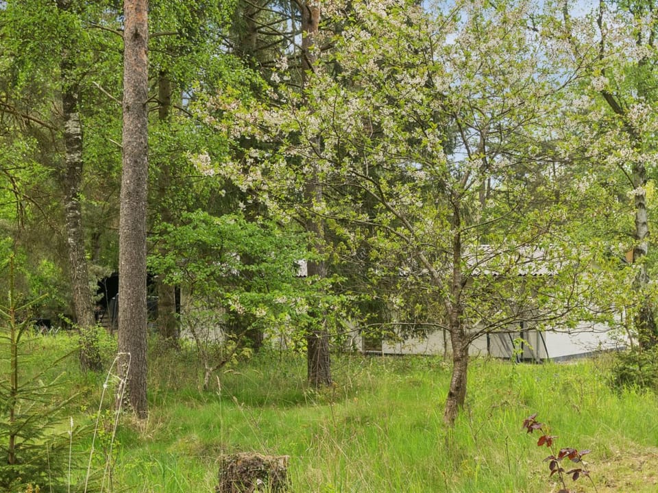 Place