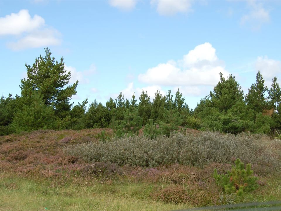 Outdoor