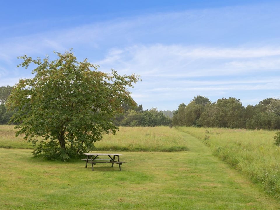 Place