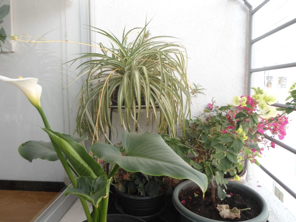 Inside other