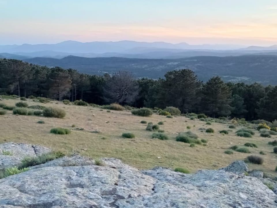 View