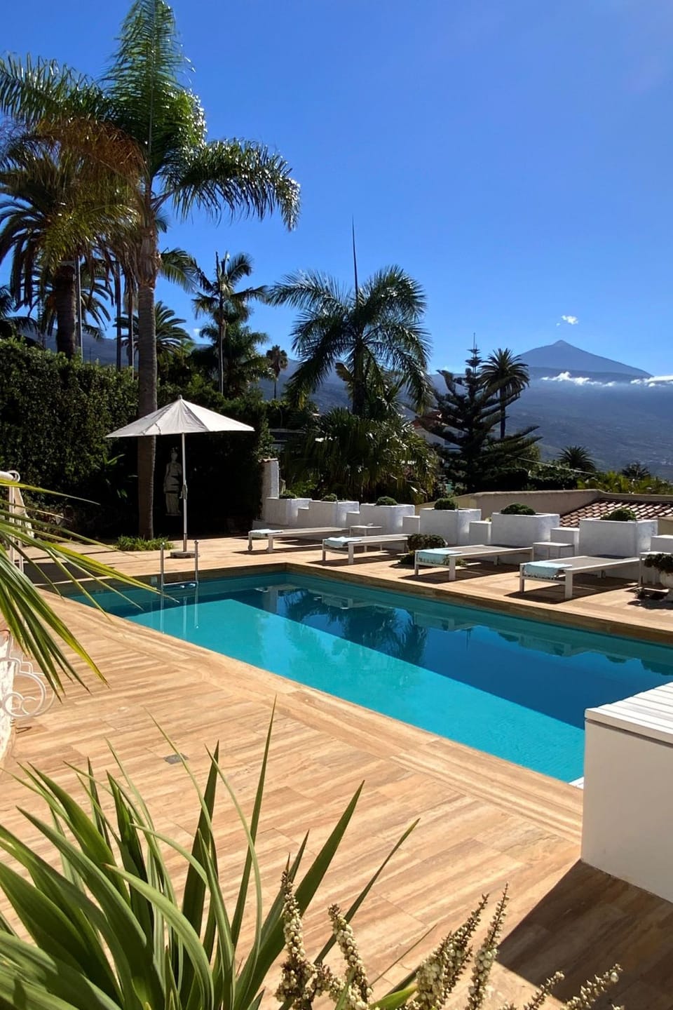 Viña Sol Vacation rental in Orotava Valley