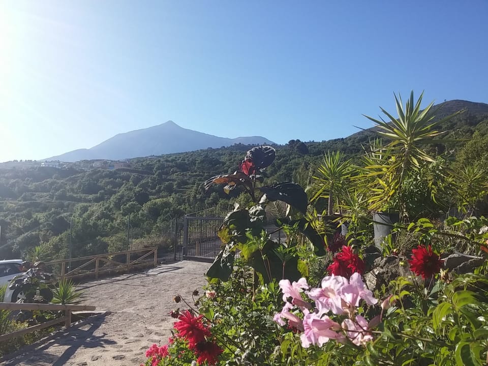 Ecolodge Tenerife 3  bedroom c Vacation rental in Canary Islands