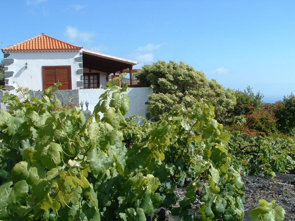 mit Garten und wunderbarer Aussicht Vacation rental in La Palma