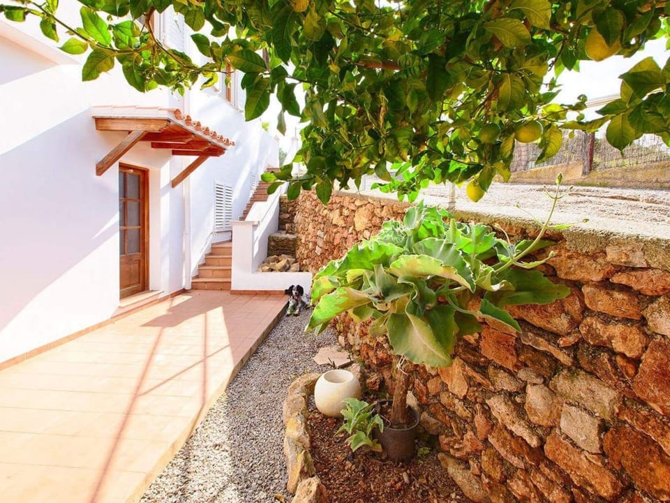 Appartement mit großem Gemeinschaftspool Apartment in Ibiza