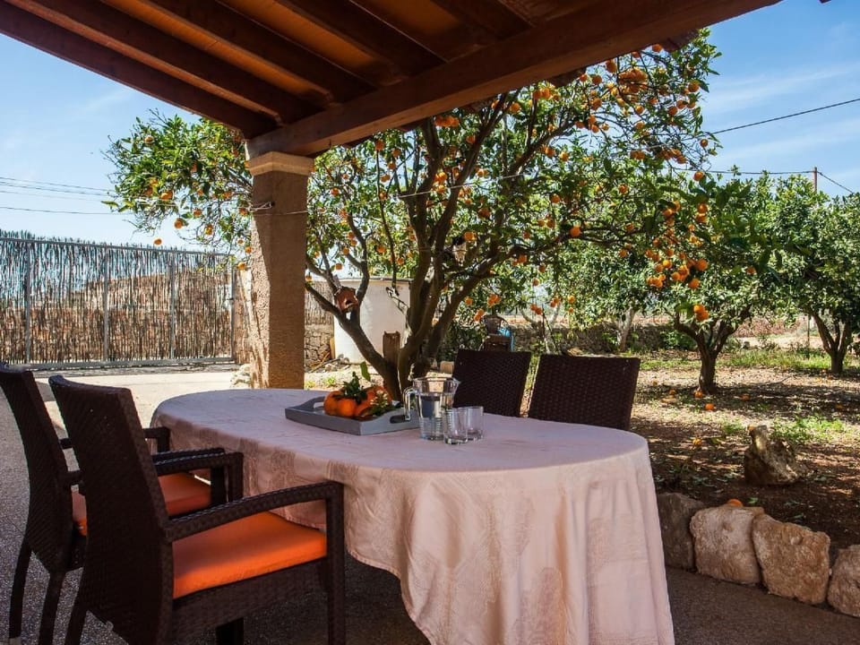 Finca Torro Perdido Vacation rental in Pla de Mallorca