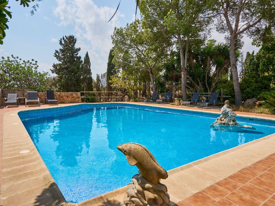 Pool Outdoor