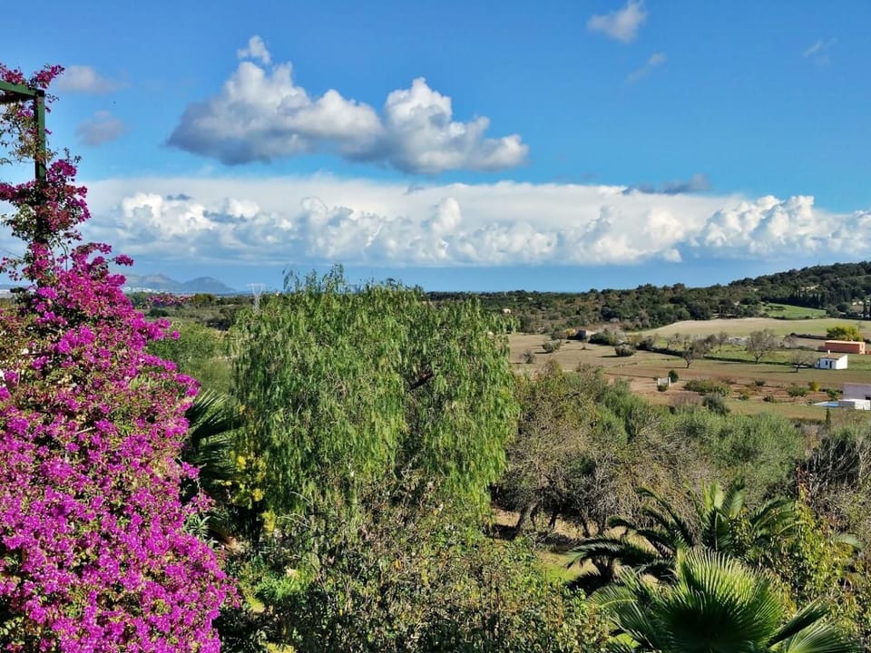 Finca "Mallorca Muro" mit Garten und Grill Vacation rental in Pla de Mallorca