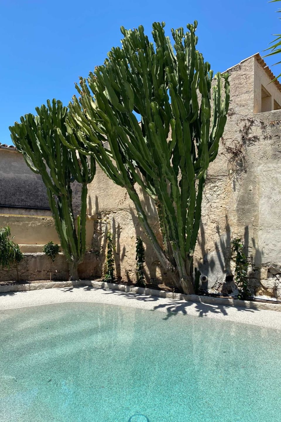Villa El León de Sineu Vacation rental in Pla de Mallorca