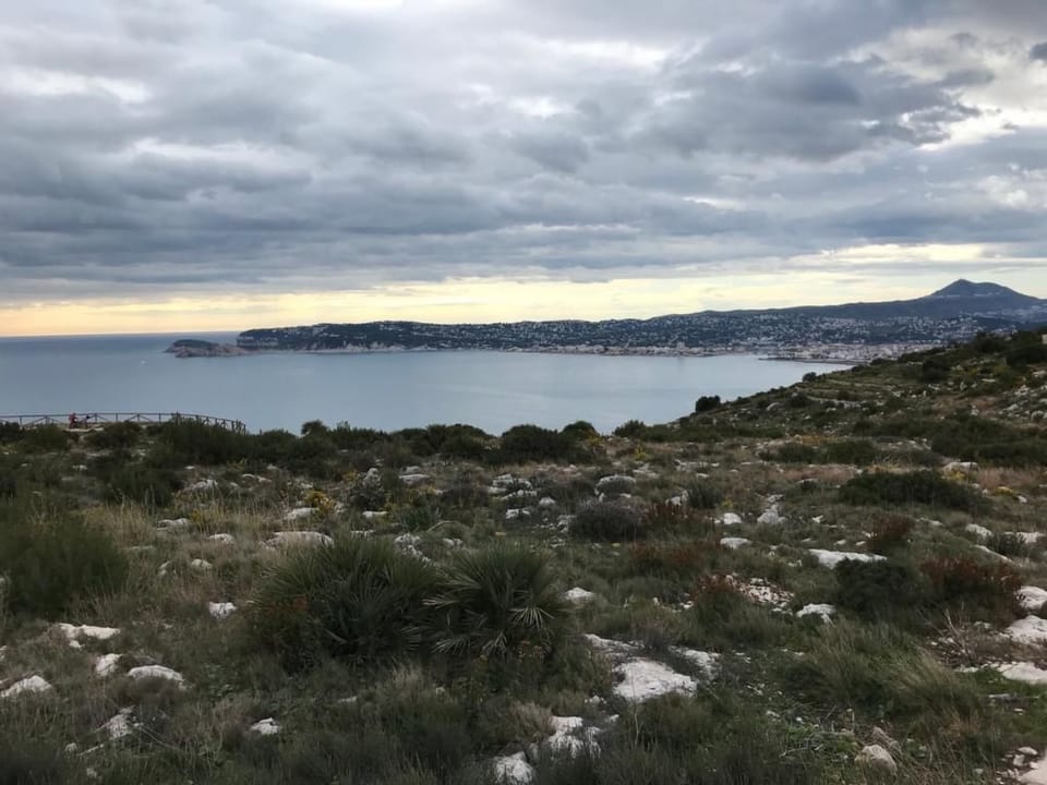 View