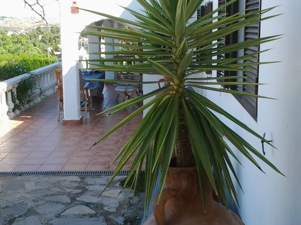 Villa "Michel" mit Blick auf das Wasser Vacation rental in Marina Alta
