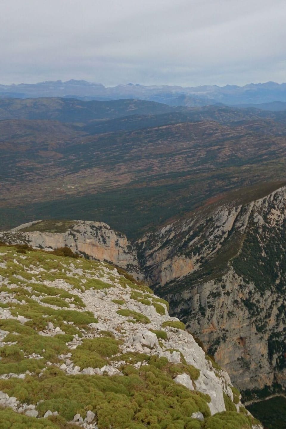 View