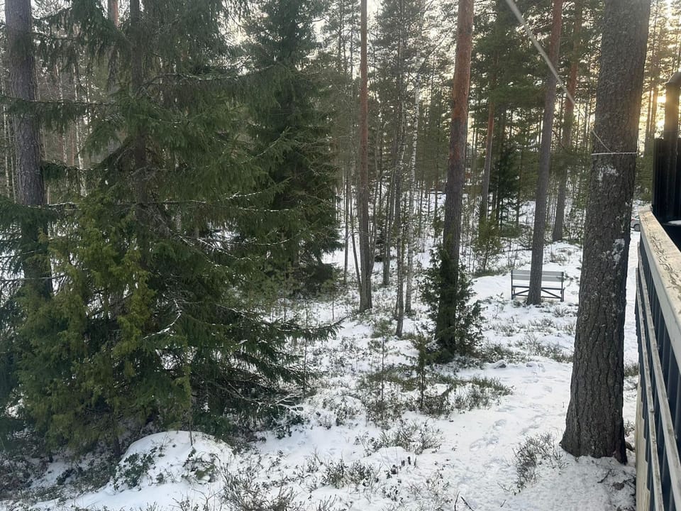 Inside other
