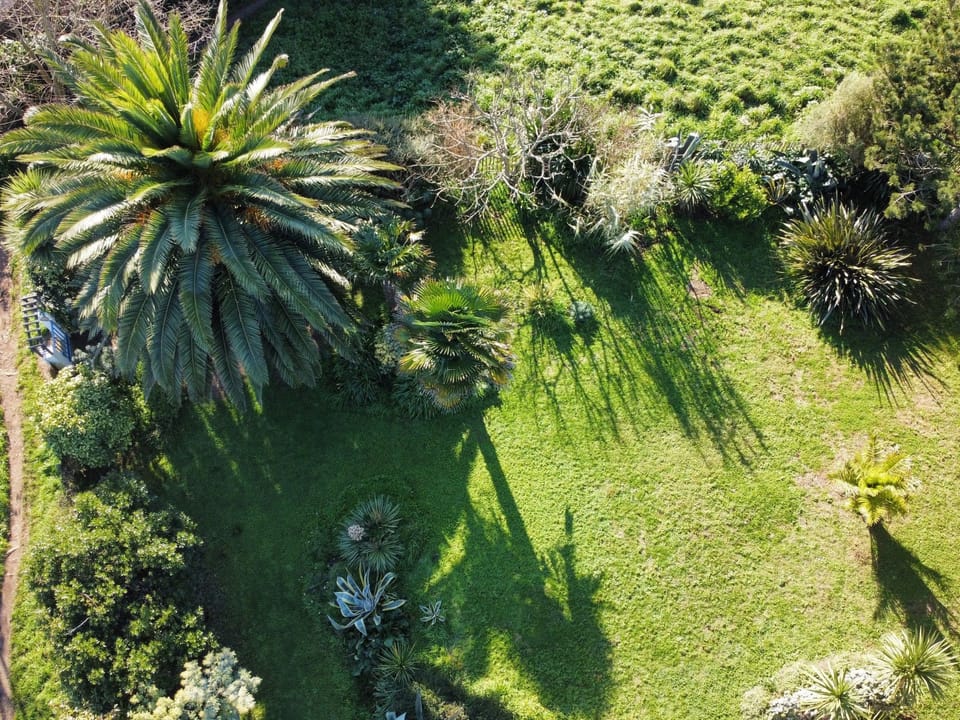 Prächtige Villa mit exotischem Garten, Strand 200m entfernt Vacation rental in Clohars-Carnoët