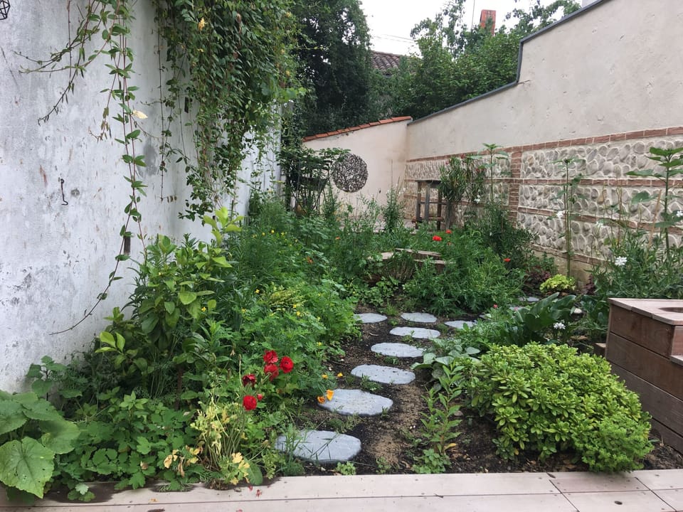 Haus mit Pool im Zentrum von Toulouse Vacation rental in Toulouse