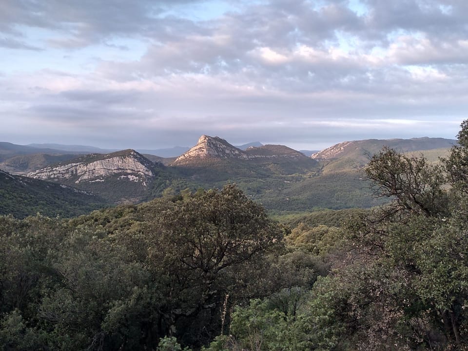 View