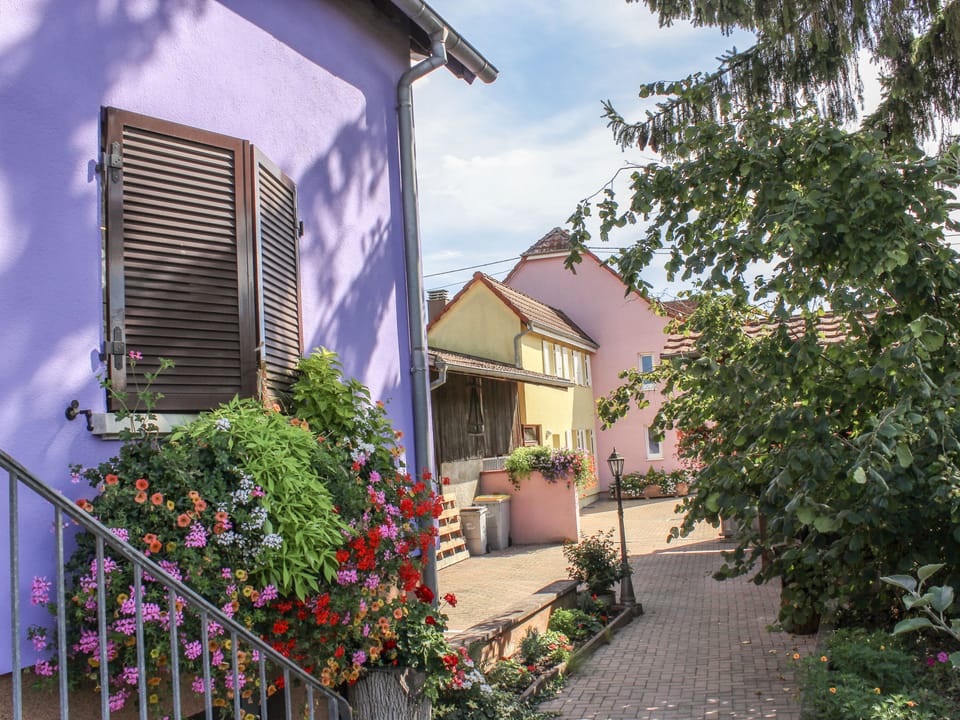Outdoor