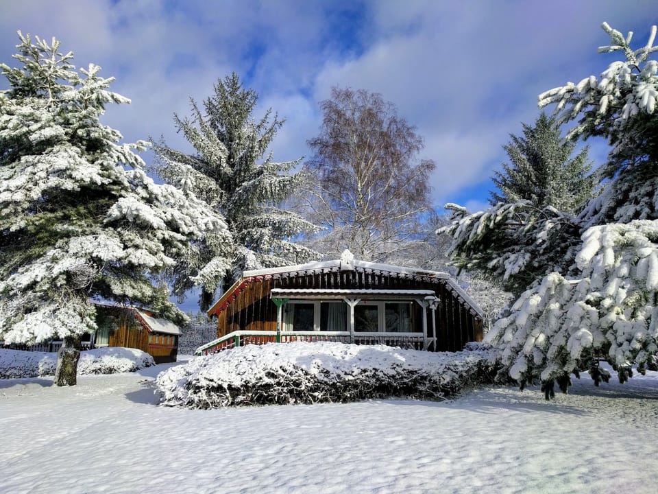 Charmantes Ferienhaus mit gemeinsamem Grill Vacation rental in Vosges
